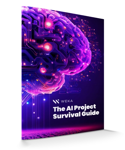 The AI Project Survival Guide: 5 Key Questions to Supercharge a Winning AI Strategy