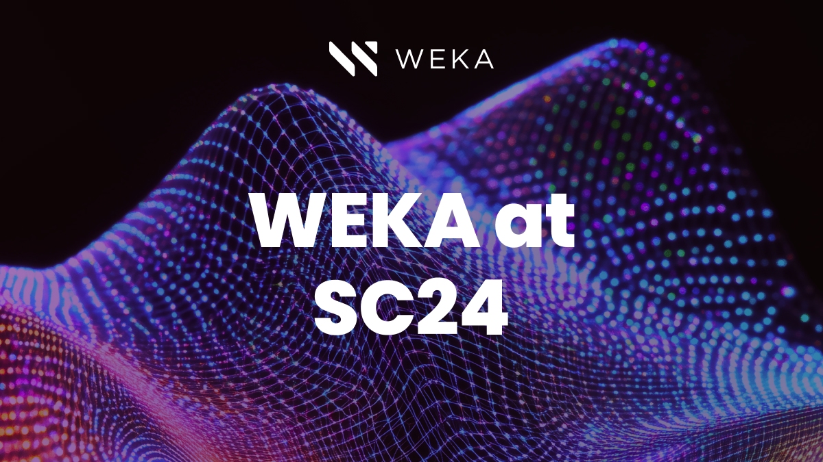 Driving the Future of AI and HPC: WEKA at SC24