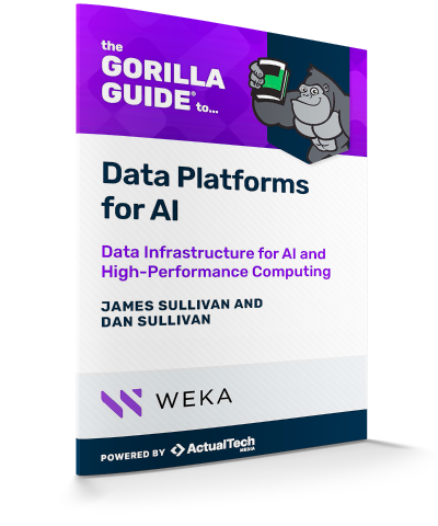 lp-thumb-the-gorilla-guide-to-data-platforms-for-AI