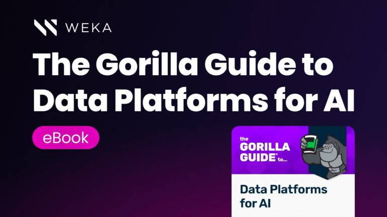 The Gorilla Guide to Data Platforms for AI