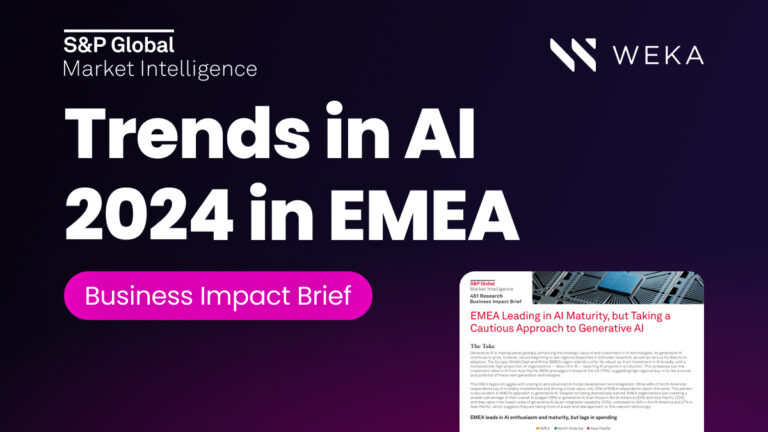 Trends in AI 2024 in EMEA – Business Impact Brief