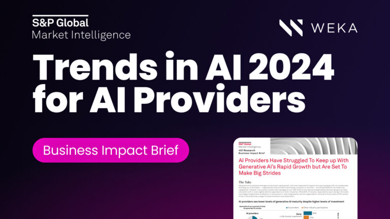 Trends in AI 2024 for AI Providers – Business Impact Brief