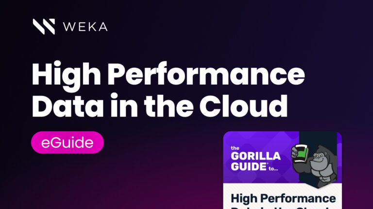 Gorilla Guide to High Performance Data in the Cloud